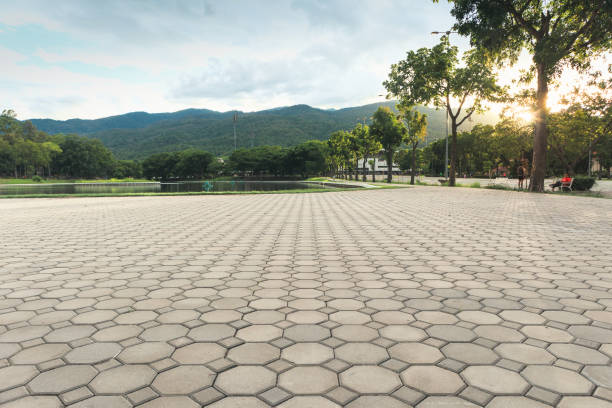 Best Professional Driveway Pavers  in Red Hill, SC