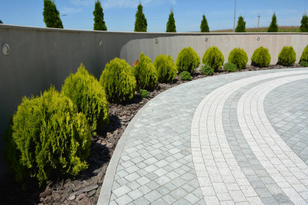 Professional Driveway Pavers in Red Hill, SC